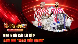 Kèo nhà cái là gì? Giải mã “món mồi odds” khiến dân cược vừa sợ vừa nghiện!
