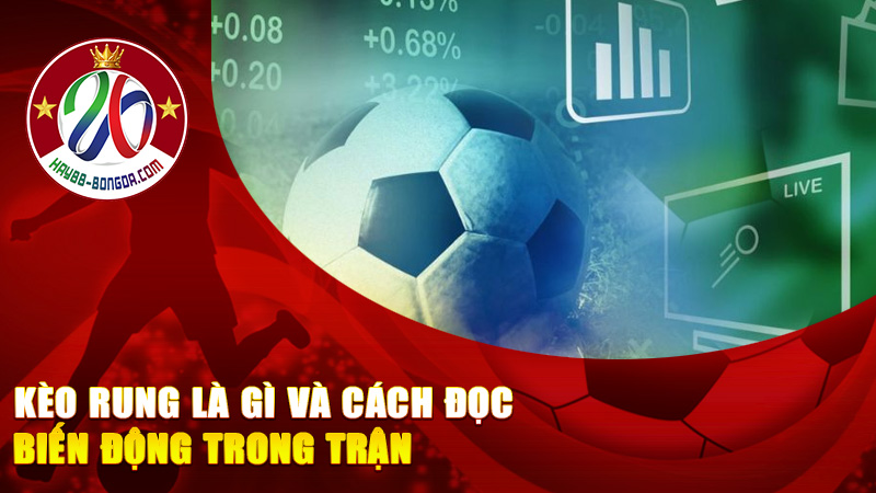 Kèo rung là gì và cách đọc biến động trong trận