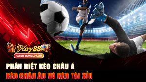Phân biệt kèo châu Á, kèo châu Âu và kèo Tài Xỉu – Tân thủ đọc xong là soi kèo như dân pro!
