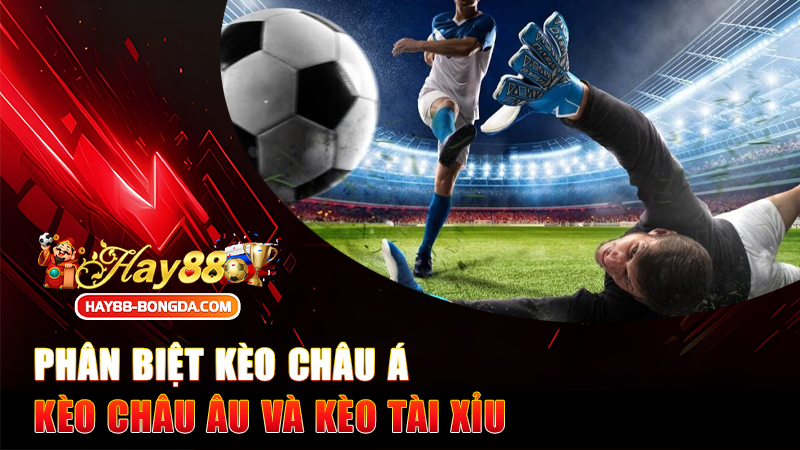 Phân biệt kèo châu Á, kèo châu Âu và kèo Tài Xỉu – Tân thủ đọc xong là soi kèo như dân pro!