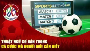 Thuật ngữ cơ bản trong cá cược mà người mới cần biết