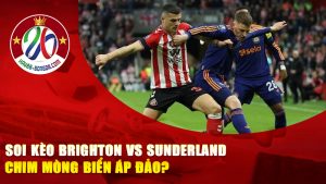 Soi Kèo Brighton vs Sunderland