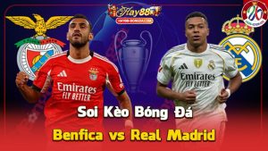 Benfica vs Real Madrid