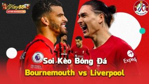 Bournemouth và Liverpool