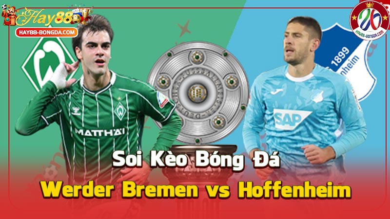 Werder Bremen vs Hoffenheim