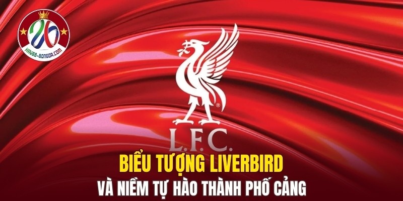 Biểu tượng Liverbird và niềm tự hào thành phố Cảng