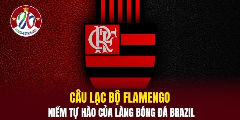 Câu Lạc Bộ Flamengo