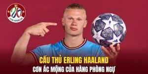 Cầu Thủ Erling Haaland
