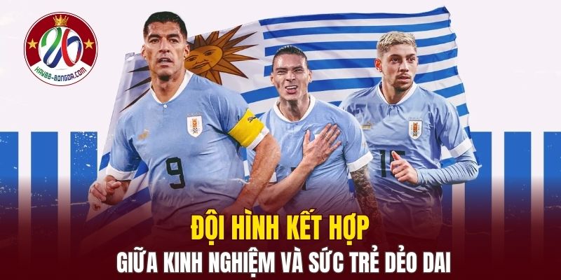 Đội hình kết hợp giữa kinh nghiệm và sức trẻ dẻo dai