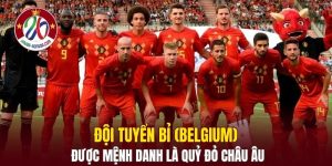 Đội Tuyển Bỉ (Belgium)