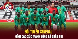 Đội Tuyển Senegal