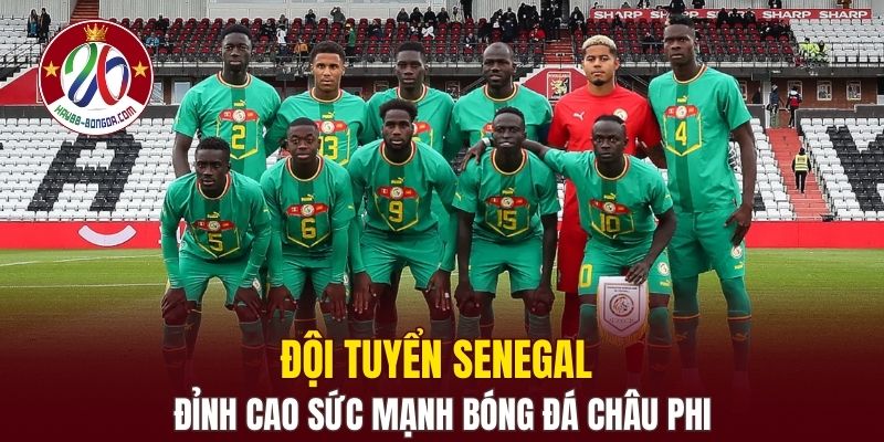 Đội Tuyển Senegal