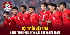Đội Tuyển Việt Nam