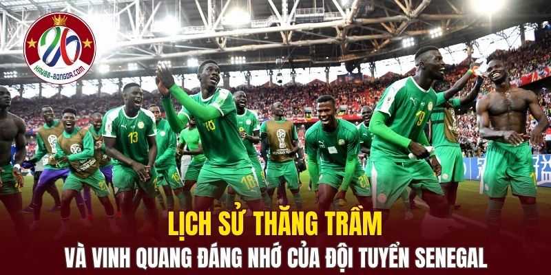 Lịch sử thăng trầm và vinh quang đáng nhớ của đội tuyển Senegal