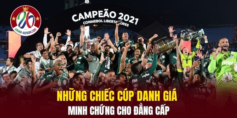 Những chiếc cúp danh giá minh chứng cho đẳng cấp