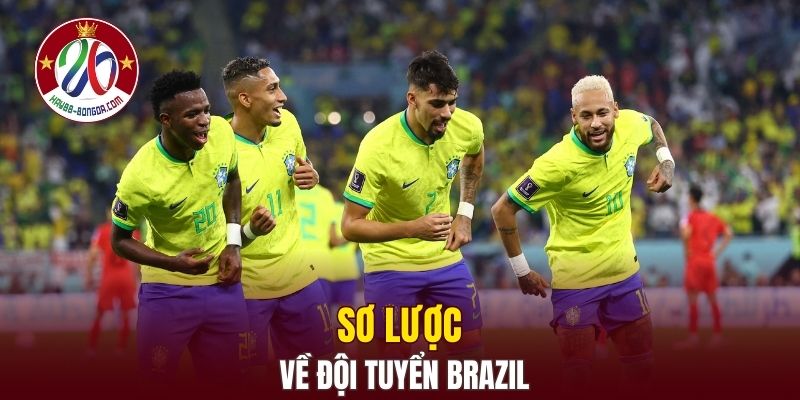 Sơ lược về đội tuyển Brazil