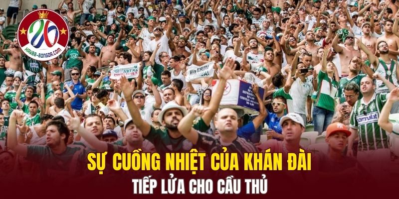 Sự cuồng nhiệt của khán đài tiếp lửa cho cầu thủ