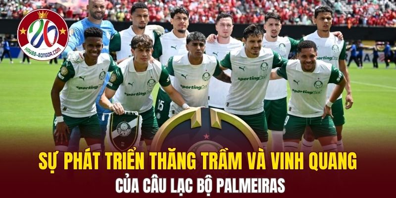 Sự phát triển thăng trầm và vinh quang của câu lạc bộ Palmeiras