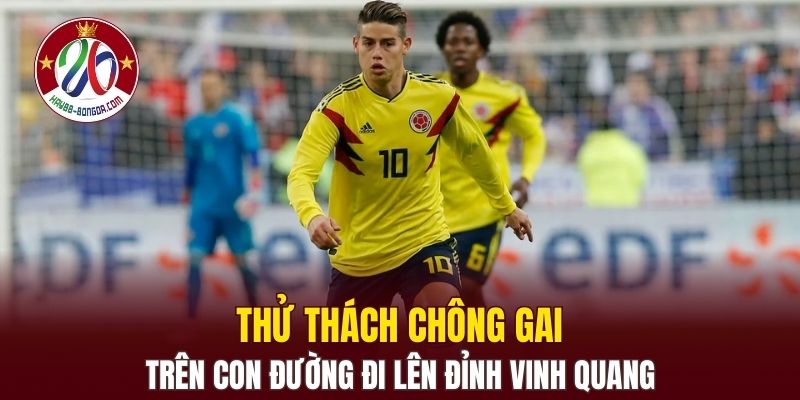Thử thách chông gai trên con đường đi lên đỉnh vinh quang