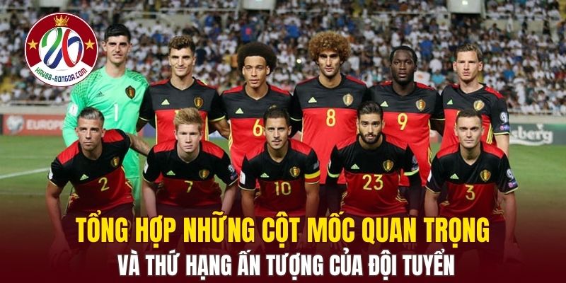 Tổng hợp những cột mốc quan trọng và thứ hạng ấn tượng của đội tuyển
