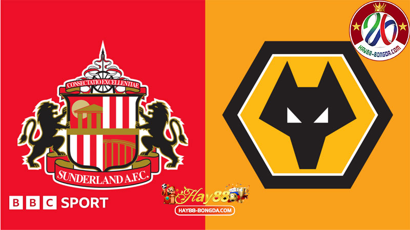 Wolves vs Sunderland