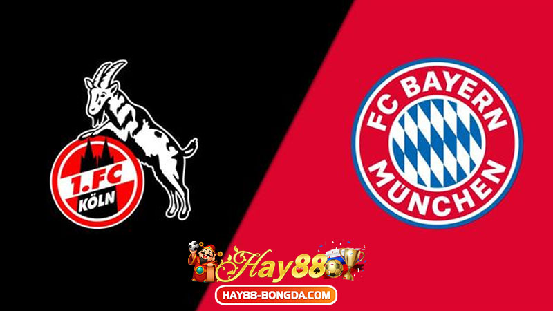 Bayern Munich vs FC Koln