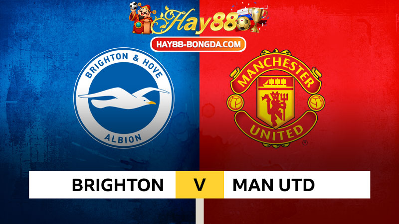 Brighton vs Manchester United
